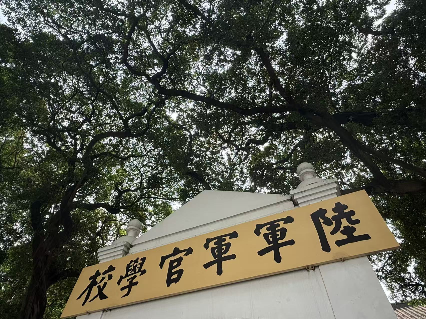 37373天之後丨10.12 黃埔島 實拍圖 6